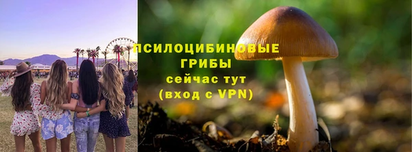 apvp Алексеевка