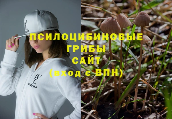 apvp Алексеевка
