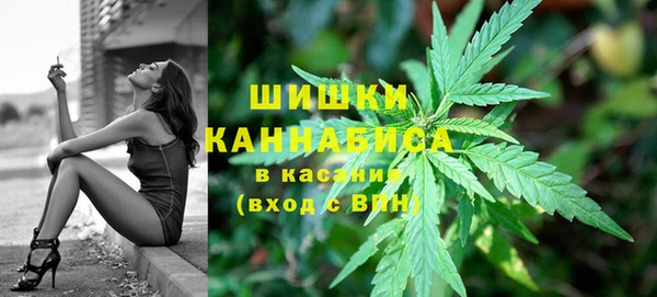 дурь Алзамай