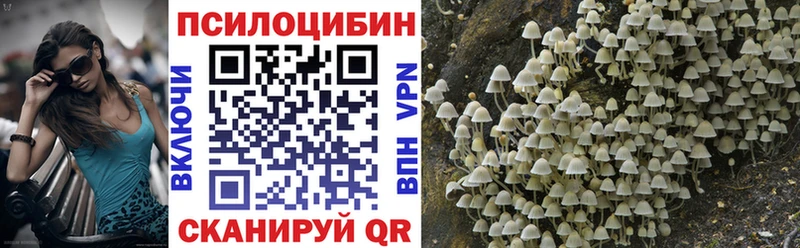 Псилоцибиновые грибы Psilocybine cubensis  наркотики  Гурьевск 